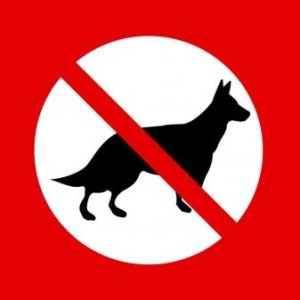 no dogs